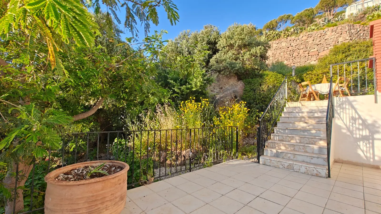 Mature garden